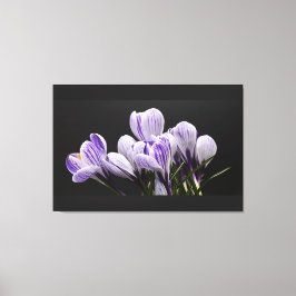 Canvas de parede estendida