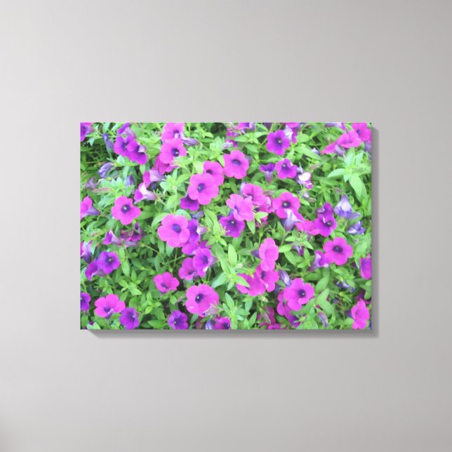 Canvas de Petunias Roxo (Frente)
