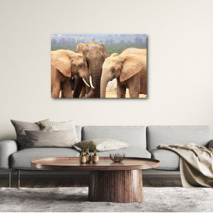 Canvas de poça elefante emoldurada