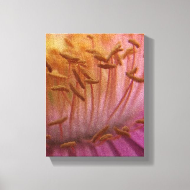Canvas de pólen da flor rosa (Frente)