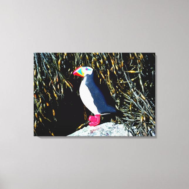 canvas de puffin atlântico esculpida (Frente)