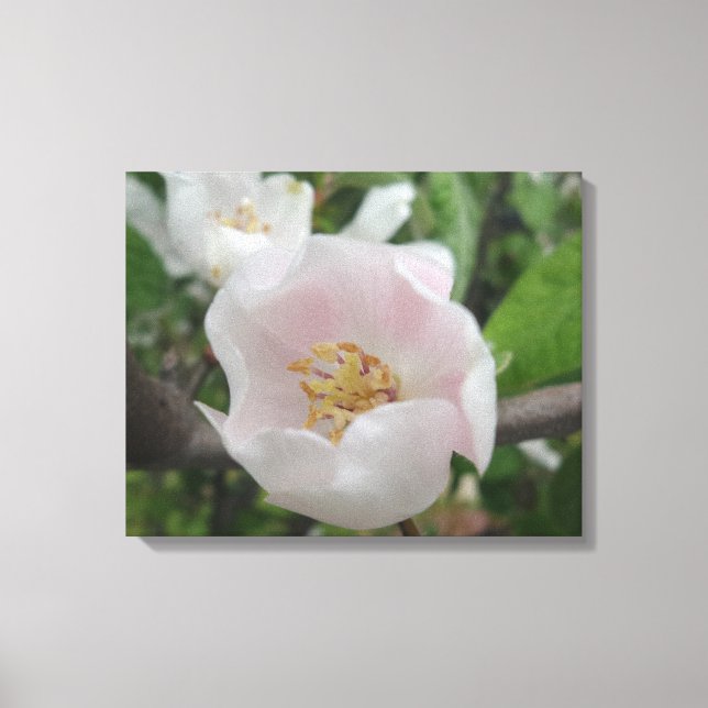 Canvas de Pureza (Frente)