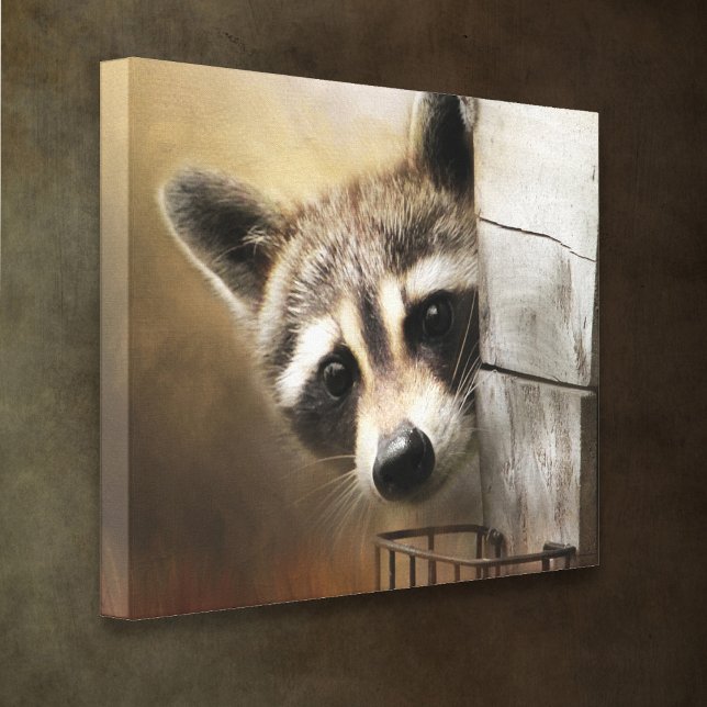 Canvas de Raccoon Wildlife (Criador carregado)