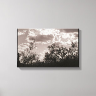 Canvas de retroiluminação do pincel (Deserto AZ 