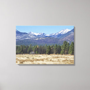 Canvas de San Francisco Peaks