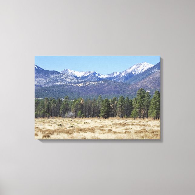 Canvas de San Francisco Peaks (Frente)