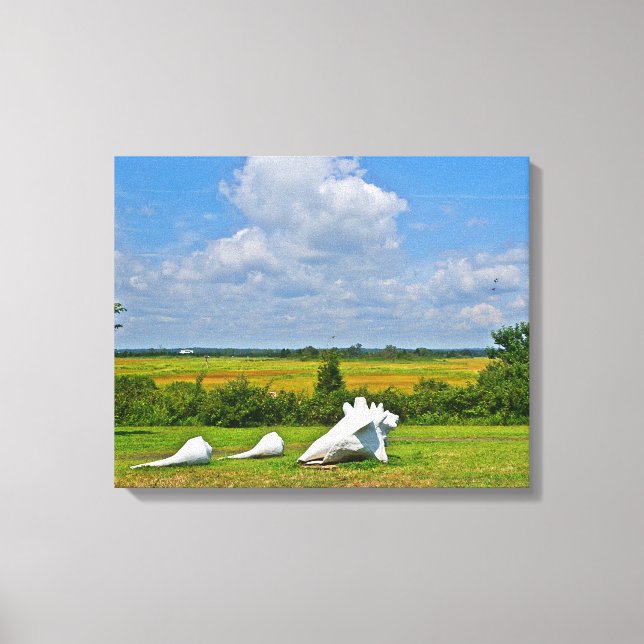 Canvas de Seashell (Frente)