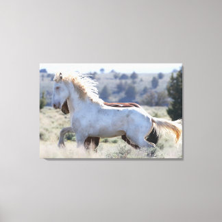 Canvas de sobrevivência