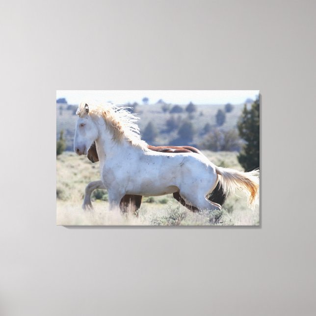 Canvas de sobrevivência (Frente)