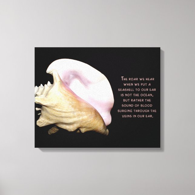 Canvas de som Seashell (Frente)