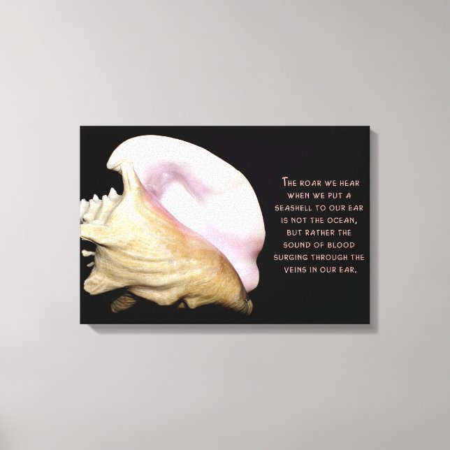Canvas de som Seashell (Frente)