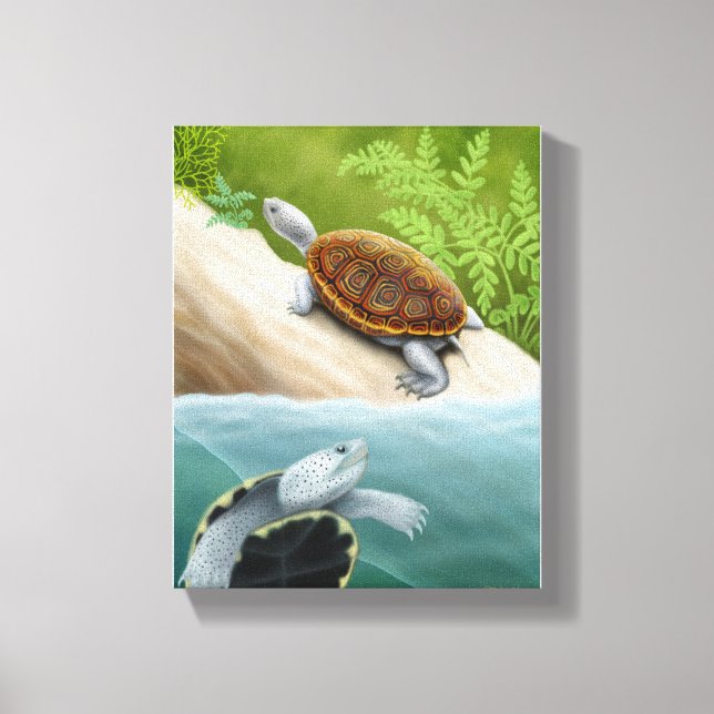 Canvas de Tartarugas do Diamondback Terrapin (Frente)
