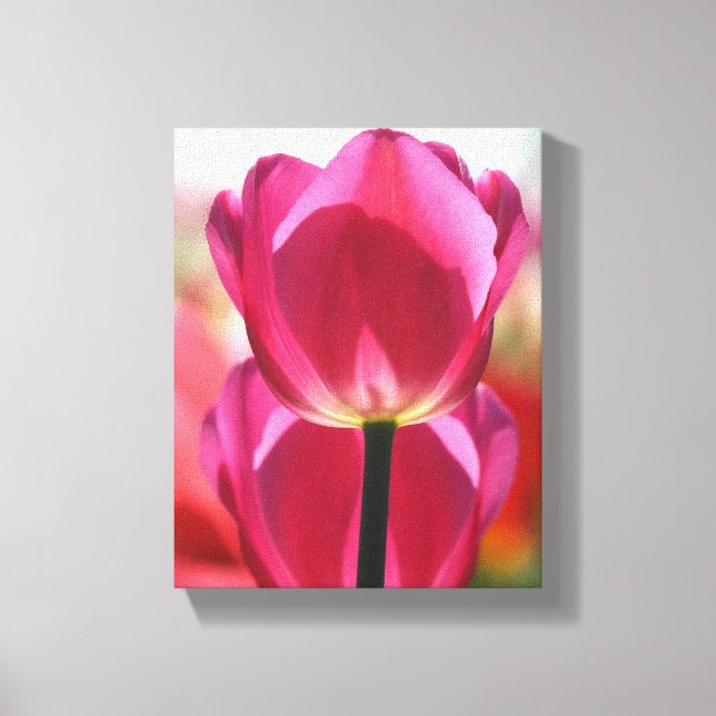 Canvas de Tulip Rosa (Frente)