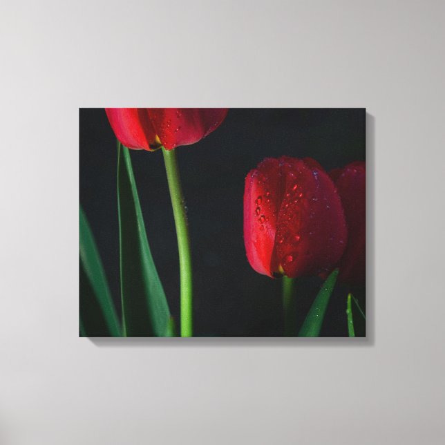 Canvas de Tulipas Vermelhas (Frente)