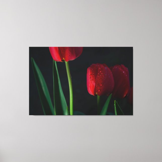 Canvas de Tulipas Vermelhas (Frente)