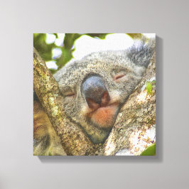 Canvas de Urso de Koala