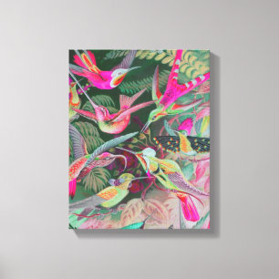 Canvas de Vintage Haeckel Hummingbird