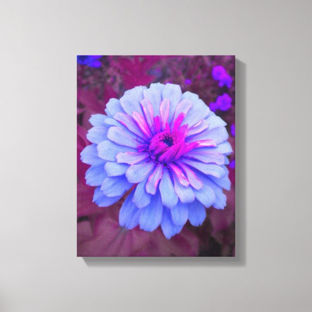 Canvas de Zinnia Rosa N (Frente)