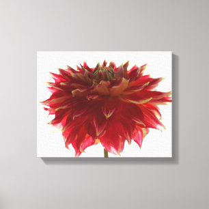 canvas digitais da pintura da flor da dália
