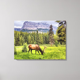 Canvas do Elk Bull