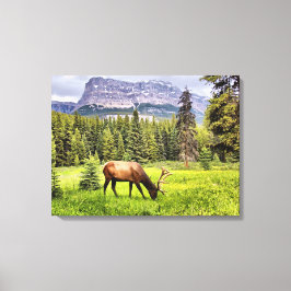 Canvas do Elk Bull