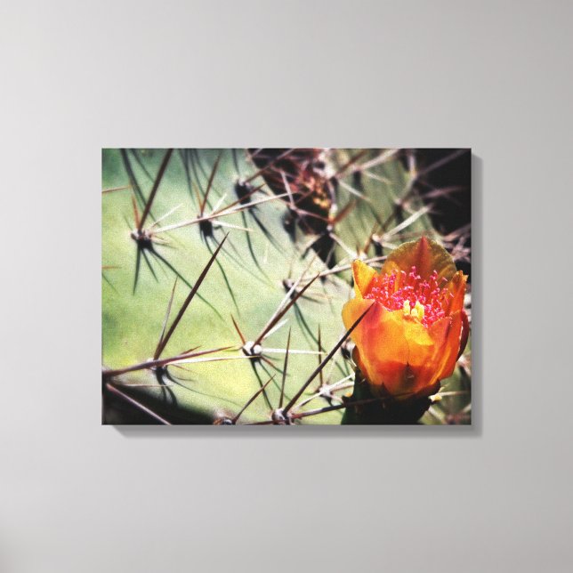 Canvas do Flor do Cactus (Frente)