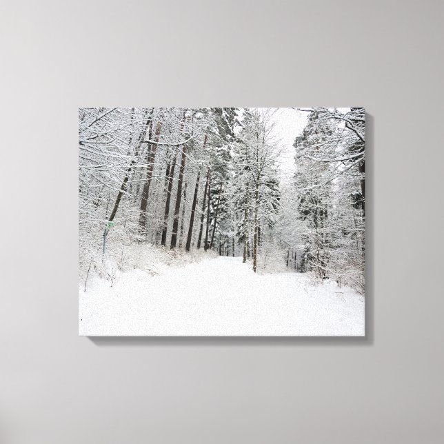 canvas do inverno (Frente)