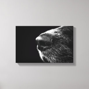 Canvas do nariz de cão