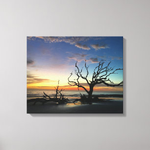 canvas do nascer do sol da ilha de jokyll 2021 #3
