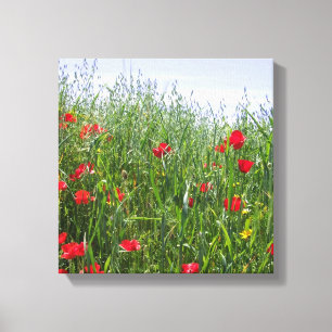 Canvas do prado da papoila