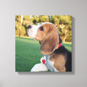 Canvas do Snoopy Beagle