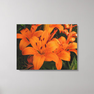 Canvas dos lírios laranja