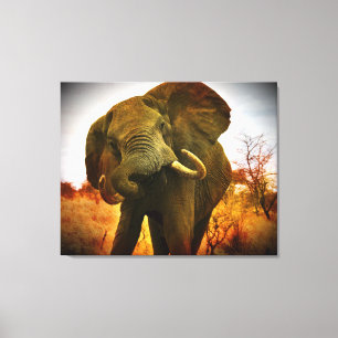 Canvas Elefante Africana