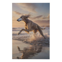 Canvas Elegante de Saluki - Sprint