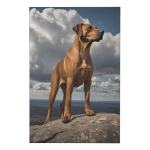 Canvas Elegante Ridgeback Ridgeback - Montanha Sup