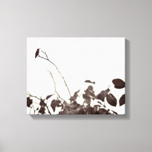 Canvas empoleiradas do colibri 14x11