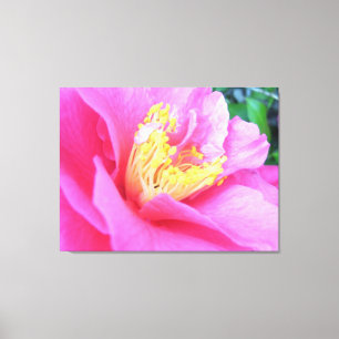 Canvas - envolvidas - camélia cor-de-rosa escura