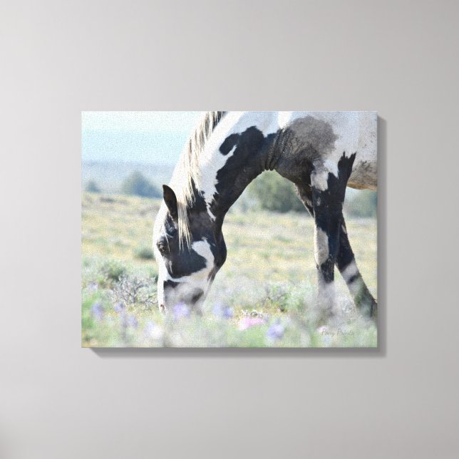 Canvas estendida do maestro 20 x 16 (Frente)