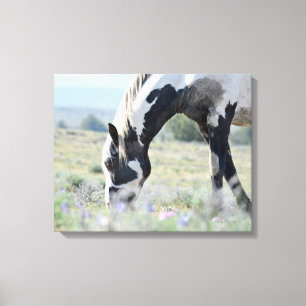 Canvas esticadas maestros 20 x 16