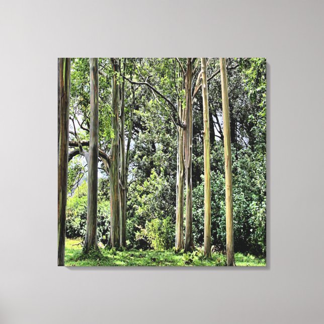 Canvas Eucalyptus Triple (Frente)