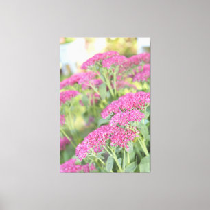 Canvas Flor Rosa Fuschia