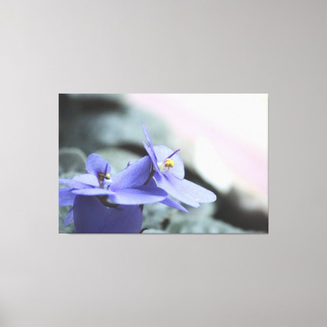 Canvas Floral Violeta Roxa (Frente)