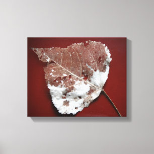 Canvas Folha de outono