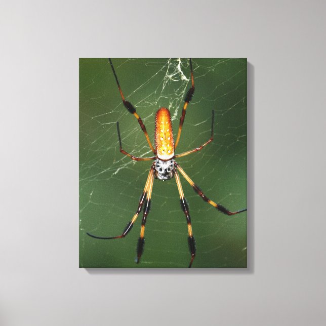 Canvas gigante de aranha de banana (Frente)