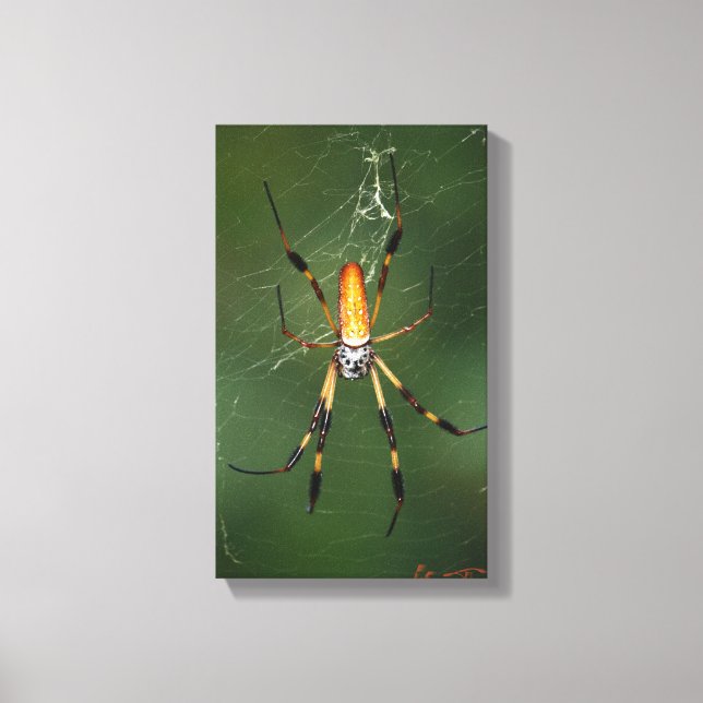Canvas gigante de aranha de banana (Frente)