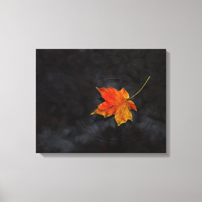 canvas "Haiku" (Frente)