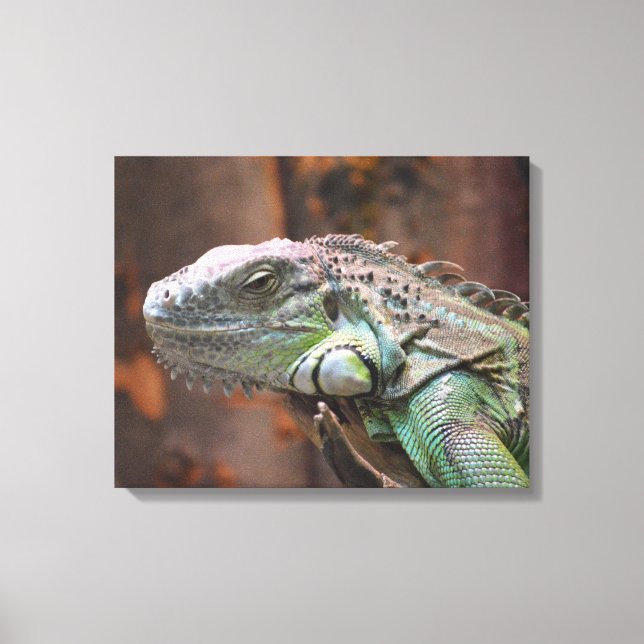 Canvas Imprimidas com lagarto Iguana colorido (Frente)