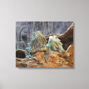 Canvas Imprimir com lagartos curiosos