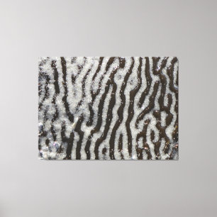 Canvas KELP m3galeryStudio