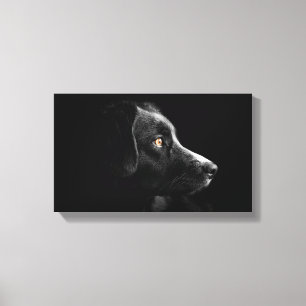 canvas labrador preto